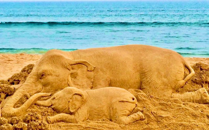 Artist Sudarsan Pattnaik condem killing pregnant elephant in Kerala with his artwork