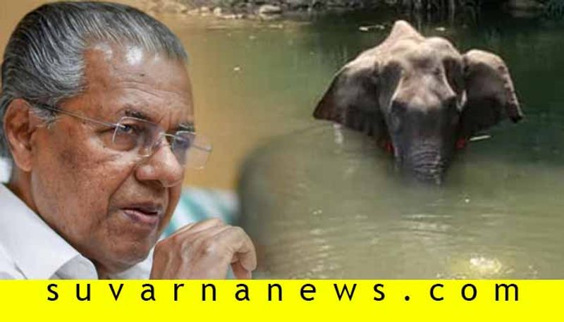 3 Suspects arrest, investigation progress Says Kerala Chief Minister On Killing Of Pregnant Elephant