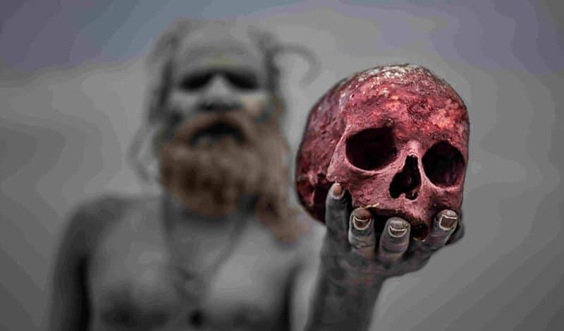 Who are Aghori and what do they do in the crematorium Know the mysterious world of Aghoris skr