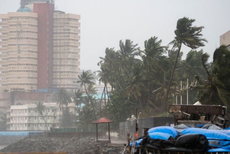 Severe  Cyclone Nivar may hit Tamil Nadu hls