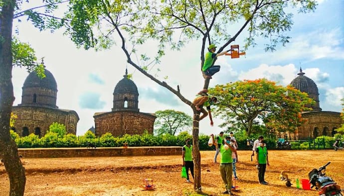 গাছে গাছে পাখিদের জন্য লাগানো হল 'ফাইভস্টার' বাসা, মন্দির নগরী চমকে দিল ভাবনার অভিনবত্বে