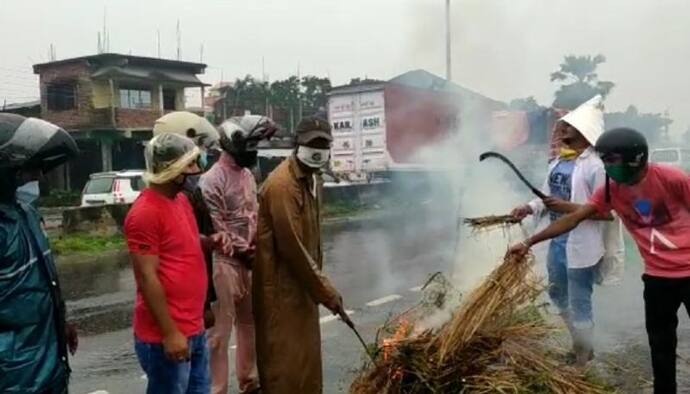 বিশ্ব পরিবেশ দিবসে 'সবুজ অভিযান', শিলিগুড়িতে পুড়ল গাছ