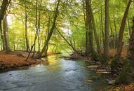 Its time for nature An insight into the urban biodiversity