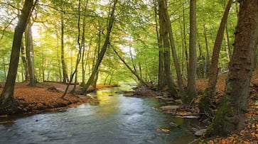 Its time for nature An insight into the urban biodiversity