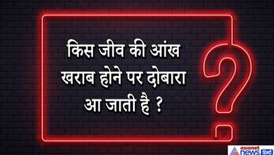 मछली खाकर दूध क्यों नहीं पीना चाहिए? अपना GK चेक करने सोचिए IAS इंटरव्यू के ऐसे दिमागी सवालों के सही जवाब