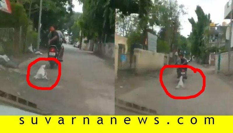 2 booked for dragging dog behind bike in Maharashtra Aurangabad