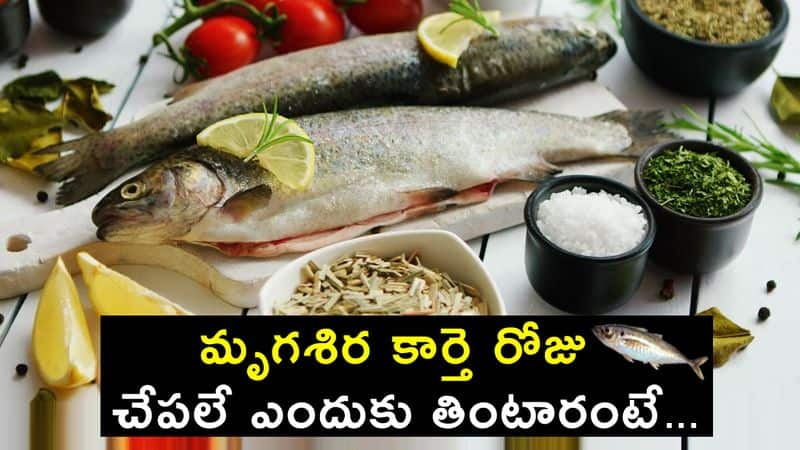 Why do we consume Fish in Mrigasira karthi