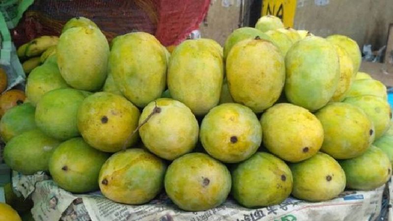 Kaari Ishad Mango Enters Into Coastal Market Of Uttara Kannada gvd