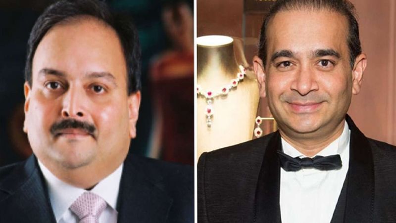 Nirav Modi And Mehul Choksi Jewellery Worth 1350 Crores Returns To India