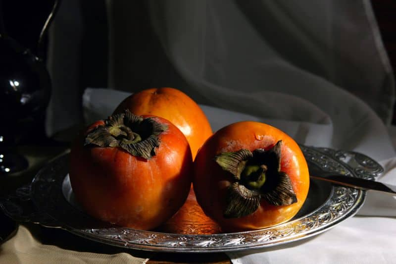 how to grow persimmon