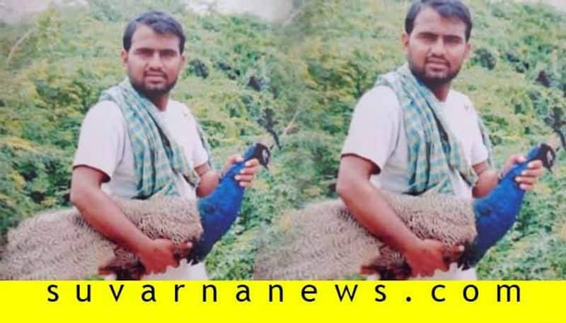 Person Arrested For Made TikTok Video with peacock in Hunagund in Bagalkot