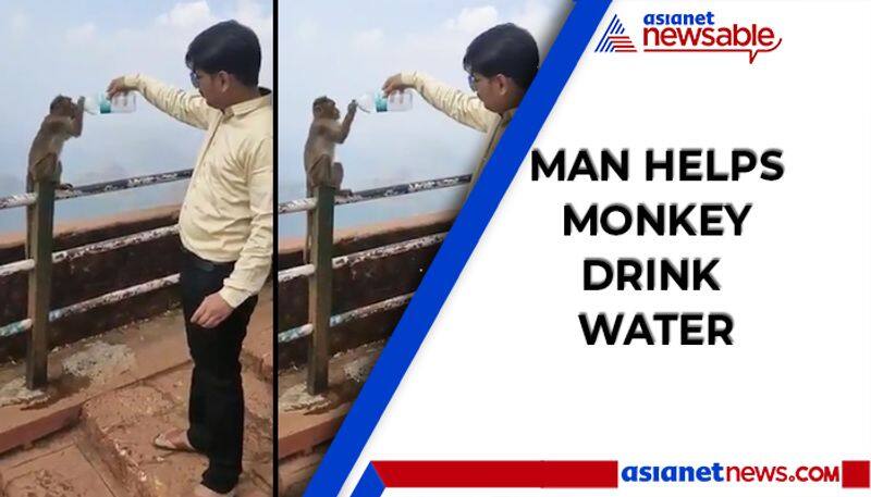 Man helps monkey drink water from bottle; video goes viral