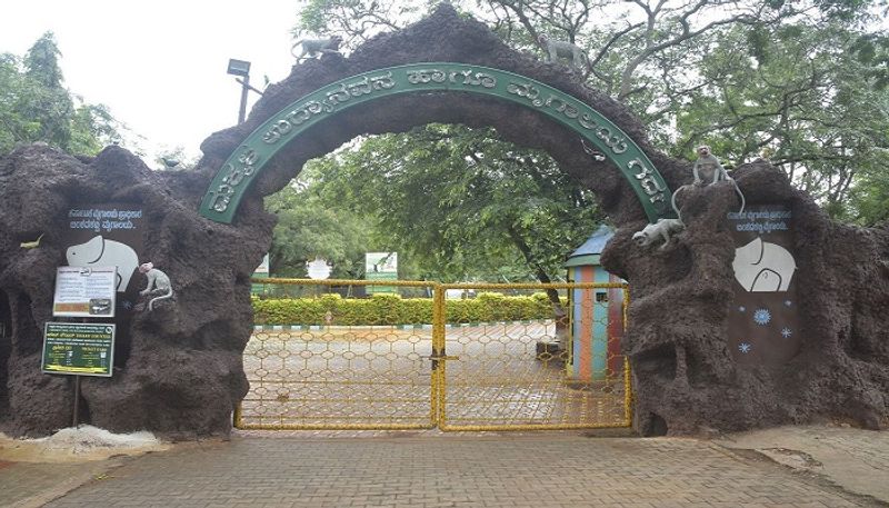 Binkadakatti Zoo Loss due to Coronavirus in Gadag