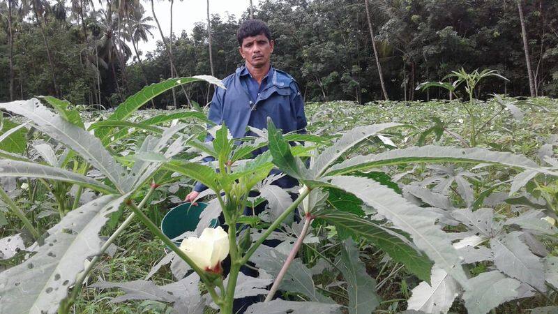 success story of farmer sidhik from nilambur