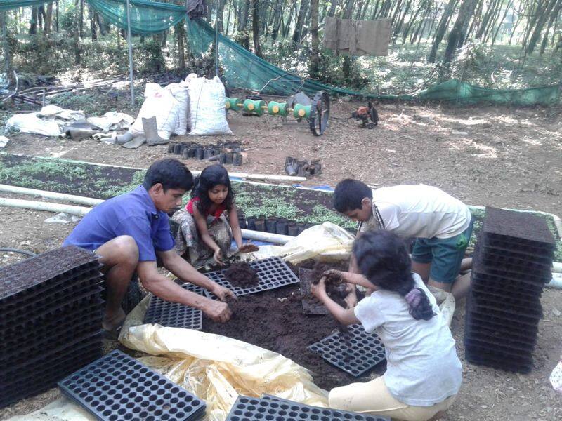 success story of farmer sidhik from nilambur