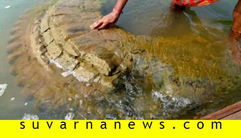 Odisha 500 year-old submerged temple resurfaces in Mahanadi