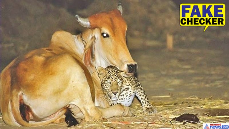 Asianet Image Asianet Image