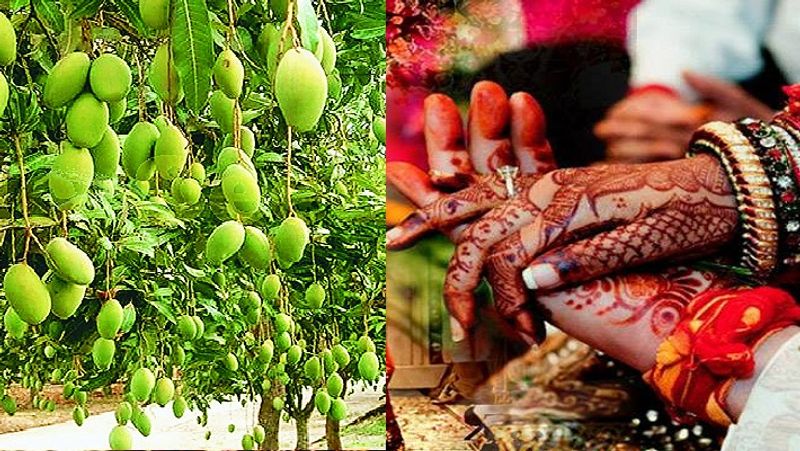 Asianet Image Asianet Image