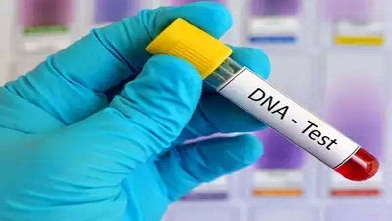 Man Marriage Destroyed With Wife After DNA Test Know Reason roo