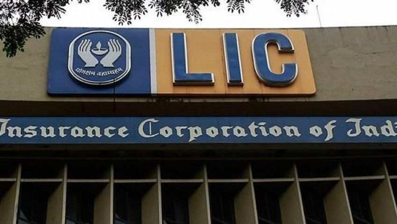 central government begins lic ipo process