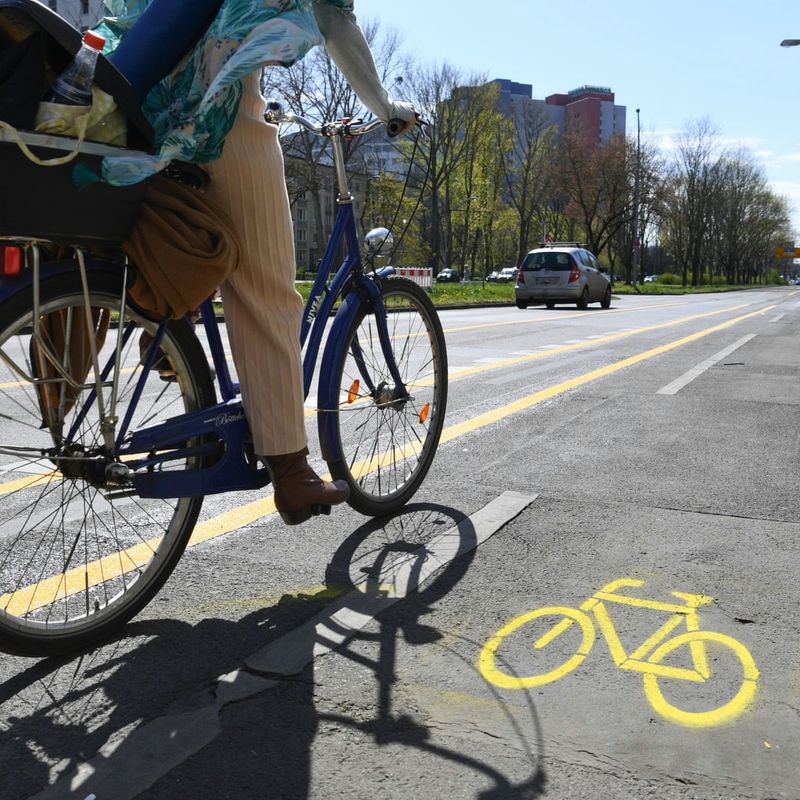 Frustrated by official apathy, senior citizen pedals 70 km to get grievance redressed