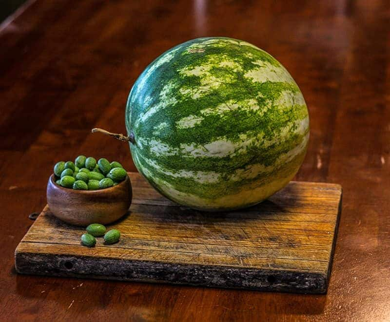 seedless water melon