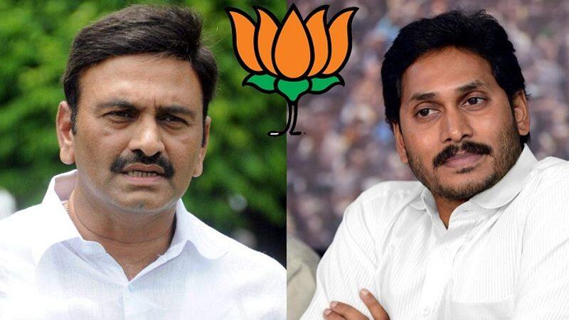 Raghurama Krishnam Raju Issue: BJP's Master Sketch In Letting YS Jagan Show Him The Exit Door