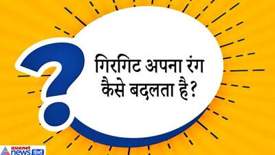 ऐसा कौन सा रूम है जिसमें न खिड़की है न दरवाजा? उस्तादों को भी चकरा देंगे IAS इंटरव्यू के ऐसे अटपटे सवाल