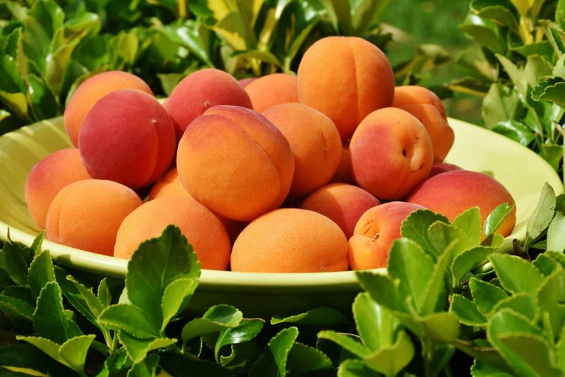 benefits Of Adding Apricots To Your Diet