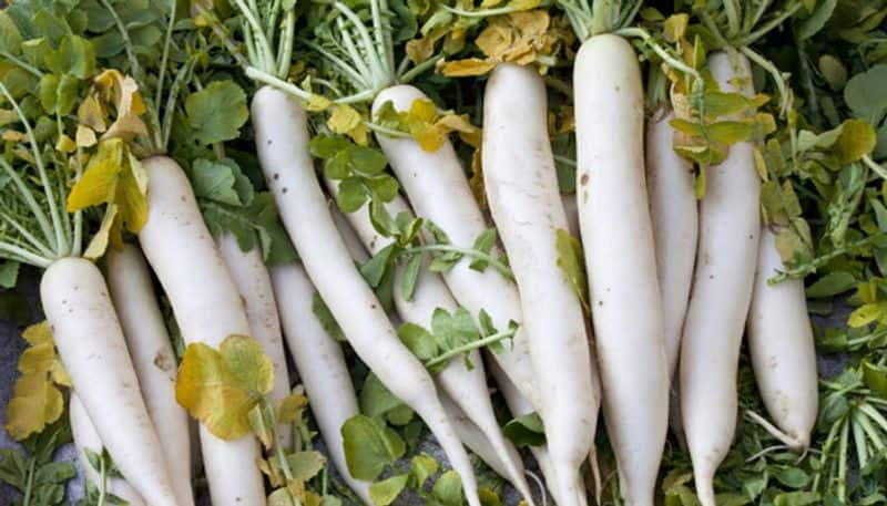 how to grow radish