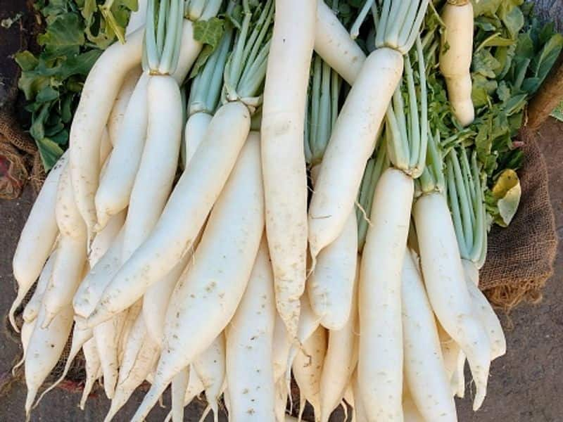 how to grow radish