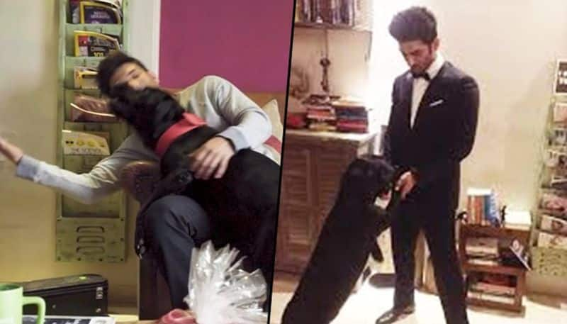 Where is Sushant Singh Rajput dog Fudge? Fans worried want to adopt actor's pet