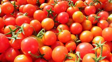 Red tomatoes, hope of relief is less now