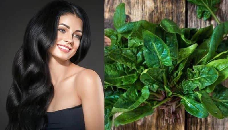 Spinach for the growth of  hair