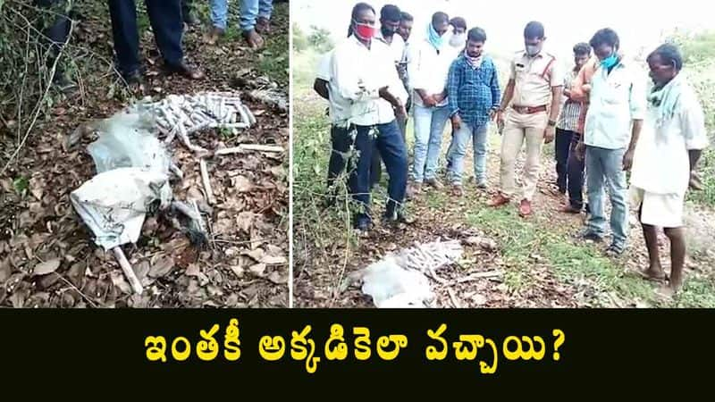 Gelatin sticks bag found under a tree in karimnagar