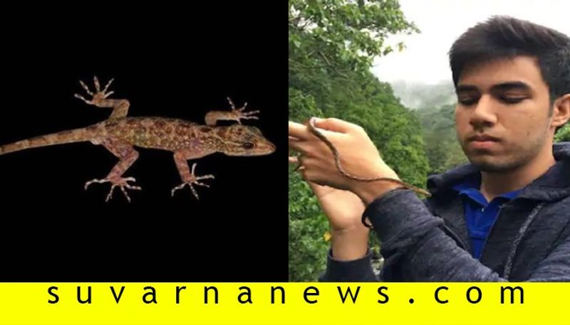 New Lizard Species Discovered By Uddhav Thackeray Son Tejas