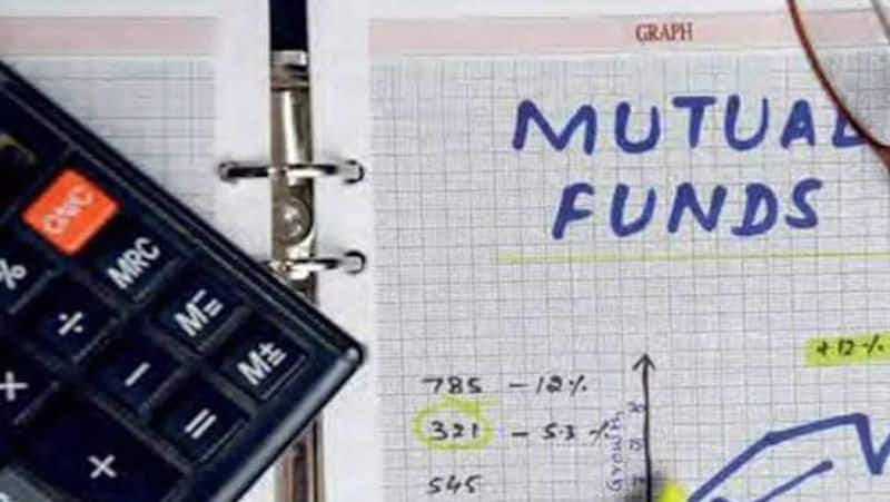 Top small cap mutual funds offer over 30% return in 2024 sgb