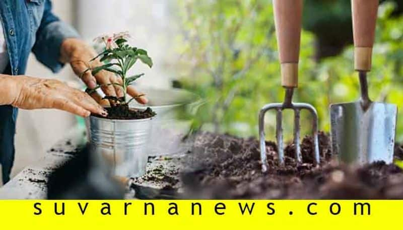 simple home gardening tips for monsoon