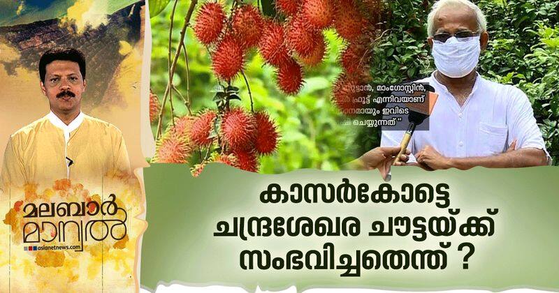 genetic science phd holder chandrasekhara chouta working in farm