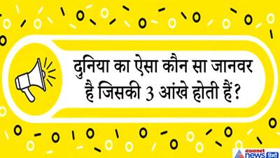 क्या पंक्षियों को भगाने हवाई जहाज में हॉर्न होता है? दिमाग की बत्ती जला देंगे IAS इंटरव्यू के ये खतरनाक सवाल