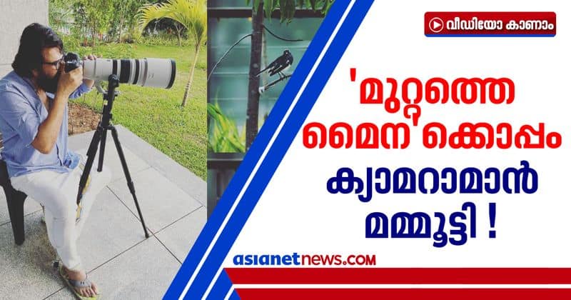 mammootty photos on morning guests get viral