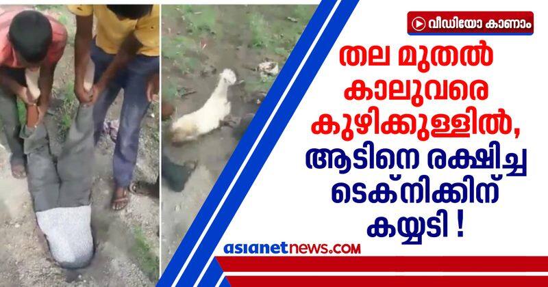 rescue mission of goat by group of men get viral