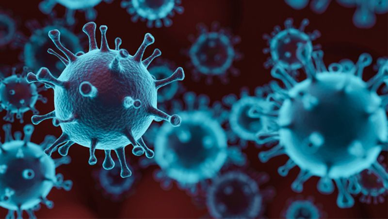 India coronavirus, COVID-19 live updates, July 2: Rajasthan reports 115 new COVID-19 cases, total tally rises to 18427