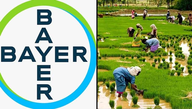 Coronavirus Bayer lends helping hand to farmers amid COVID-19 crisis