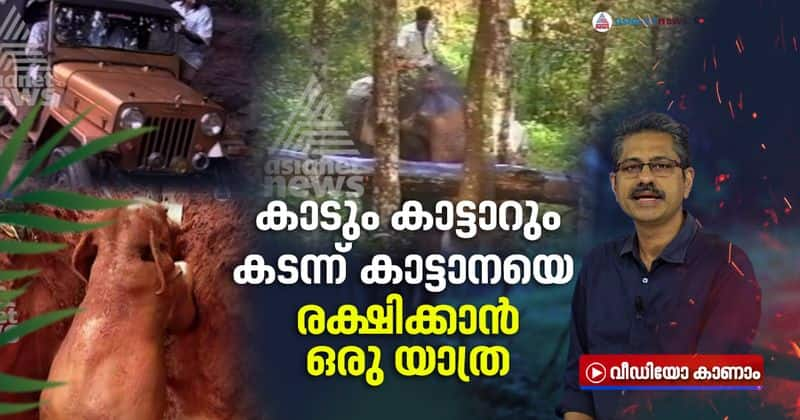 journalist travel  through forest to report elephant fell in well