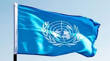 UNSCs COVID 19 resolution is an acknowledgement of Indias stand on terrorists