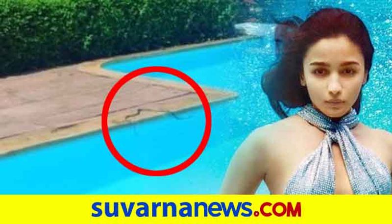 Bollywood Alia bhatt mother Soni Razdan finds snake in her swimming pool