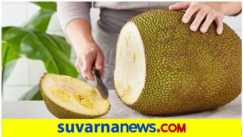 Reasons Why The Seasonal Jackfruit Is Super Healthy Vin