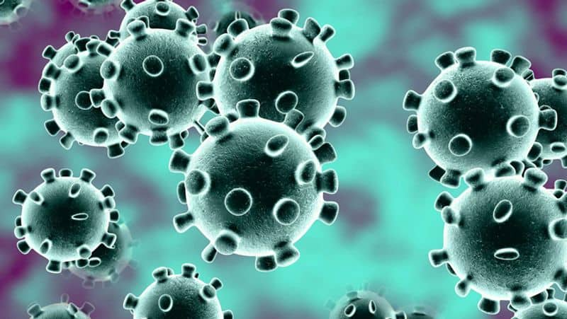 municipality worker test positive for coronavirus