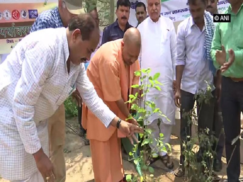 Yogi Adityanath govt plans to plant 25 crore saplings during Van Mahotsav